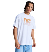 Men's DC Star Oxidized Heritage Short Sleeve Tees