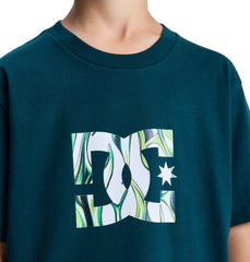 Kids' DC Star Filled Short Sleeve Tee
